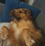 Maria Siwek - Facebook