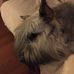Marianne Snelson - Facebook