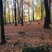 Marianne Söderman - Facebook