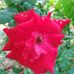 Maria Solete - Facebook