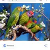mariasolete765 - @mariasolete765 - TikTok