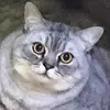 userrandom0l0 - @mariasoletedeschi - TikTok