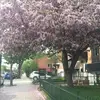 maria  - @mariaspanos - TikTok