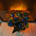 Maria Spanos - Facebook
