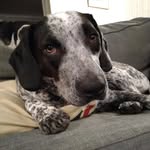 Maria Speller - @speller114 - Instagram