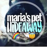 Billy & Koo - @marias.pet.hideaway - Instagram