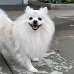 Lilica Maria Spitz - @lilica_maria_spitz - Instagram