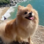 Lully Maria - @lully.maria.spitz - Instagram