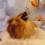 Zoê Maria Spitz - @spitz.zoemaria - Instagram