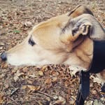 Maria Barker Squire - @mariabarkersquire - Instagram