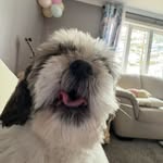 Maria squires - @squiresmaria0 - Instagram
