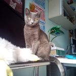 maria rita squitieri - @mariarita0363 - Instagram