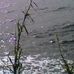 Maria Squitieri - Facebook
