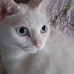 Maria Grazia Stanchi - @tonyio3 - Instagram