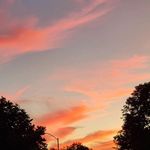 Entrepreneur - @maria_stanton_ - Instagram