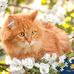 Maria Staub - Facebook