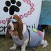 Marita Steinhoff - Facebook
