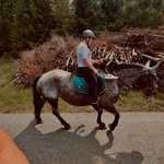 Anna-Maria Steininger - @anna.itz2 - Instagram
