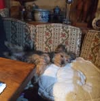 Maria Steininger Winklmair - Facebook