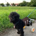 Marika Steininger - @marikasteininger - Instagram
