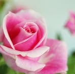 Maria Steinmann - Facebook