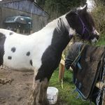 Maria storey - @maria_storey64 - Instagram
