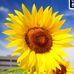 Maria Strano - Facebook