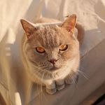 Maria Straub - @maria.reisinger.54 - Instagram