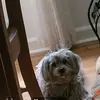 Maria Strohm - @mariastrohm0 - TikTok