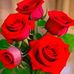 Sharon Mweri - Facebook