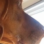 Maria Suppa - @maria.suppa.391 - Instagram