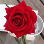 ماریا طبیبی - @mariatabibi - Instagram