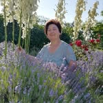 Терзи Мария - @mariaterzi65 - Instagram