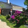 💕Мария Терзи💕 - @mariaterzi66 - TikTok