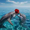 maria - @mariaterzi4 - TikTok