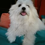 Maria Terzi - @maria.terzi.library - Instagram