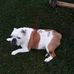 Marie Tharp - Facebook