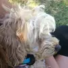 Marika Thibodeau - @mthibodeau15567 - TikTok