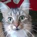 Maria Thorne - Facebook