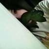 ()()Maria_ Bulyceva()() - @mariathrasher - TikTok