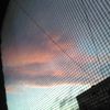 Maria_Thrasher - @maria_thrasher - TikTok