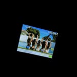 anto, maria, mica, nati, & tinker - @ammntdigital_cam - Instagram