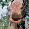🤞tinker🤞 - @maria.tinker - TikTok