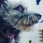 Tinker👸 - @maria_tinker_bell370 - Instagram