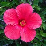 Maria Tocci - @mariatocci6805 - Instagram