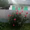 Tolan Maria - @tolanmaria - TikTok