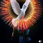 María Toruño - Facebook