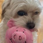 Maria - @maria_travers_family - Instagram