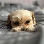 Maria Travers - Facebook