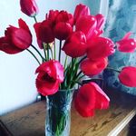 _ullman_maria_ - @_ullman_maria_ - Instagram